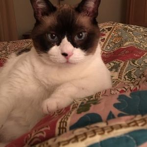 Meet your Posher, Casey